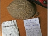 cocco-bomba1 cocco-bomba1